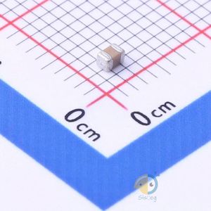 FM21X104J101ECG
