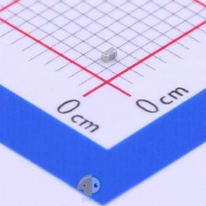 C1005NP0508DGTS