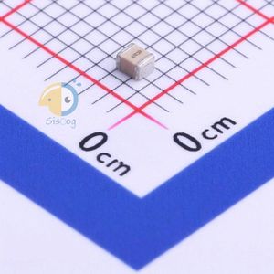 100A1R3BT250X