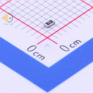 RG1608P-101-B-T5