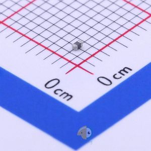 CMBM1005G102ESP