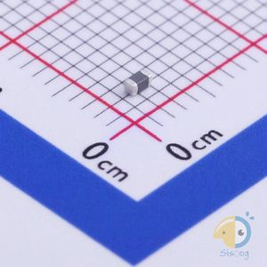 SCMI160808U1R8KT