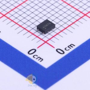 2NM08000C33YC