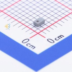 FI212P0829G2-T