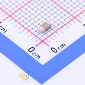 FV31X821K102ECG