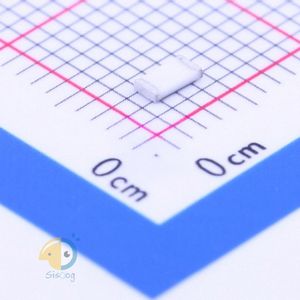 RTT061R69FTP