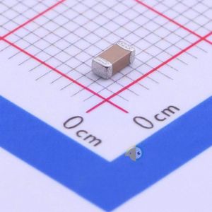 FV31X331K202ECG