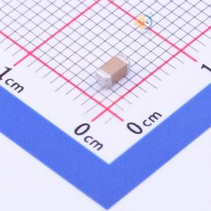 FV31X332K202EEG