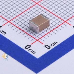 FH (Guangdong Fenghua Advanced Tech) 1812B104K631NT