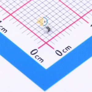 VC060309A200DP