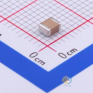 FM32X223K501EEG