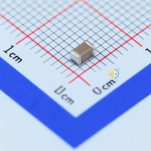 Walsin Tech Corp 1206X106K500CT