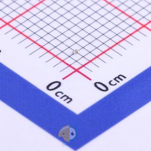 FN03B221K160PLG