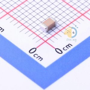 FM31X153K631ECG