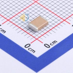 FV43X222K102ECG