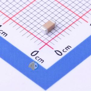 FV31X471K202ECG