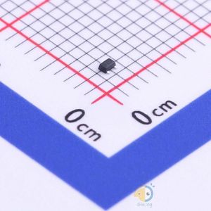 RUM001L02-TP