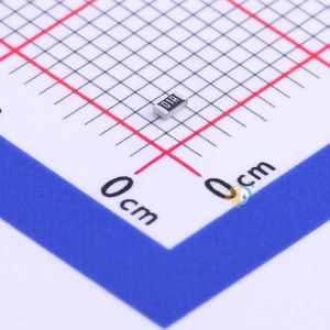 RT0603DRD07100RL
