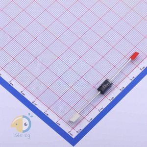 ER306_AY_10001