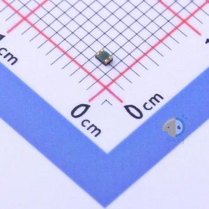 HGDESM013A