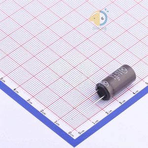 ECH2WM100G20OTZO