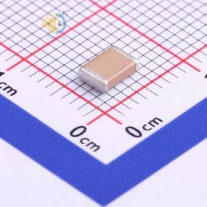 FV43X471K202ECG