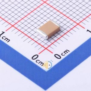 FV43X102K202ECG