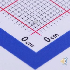 CC0402BRNPO9BN5R6