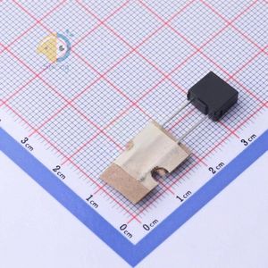 SPT478T315mA250V