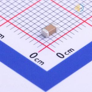 FV31X681K102ECG