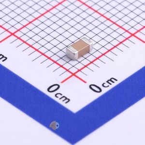 FV31X331K102ECG