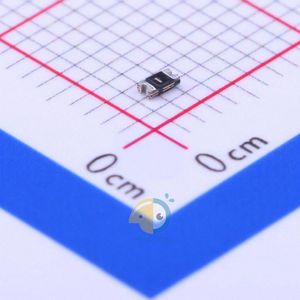 SMD0603B025TF
