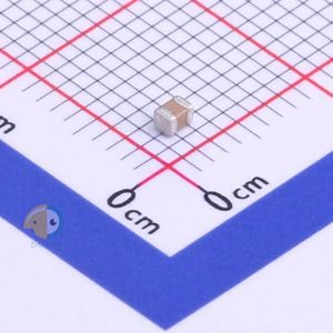 FM21X223K251ECG