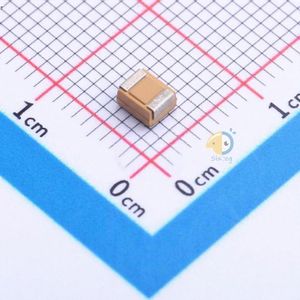 T494B107K010AT