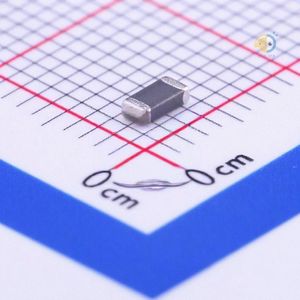 FH (Guangdong Fenghua Advanced Tech) CBW321609U100T