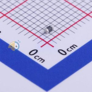 FBMH1608HM101-T