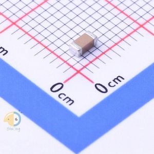 FM31X222K631ECG