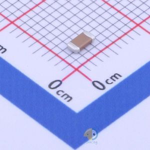 NL1206B102K500CPBN