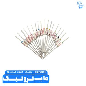 ترمو فیوز 10A 250V