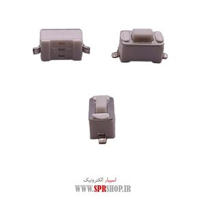 MIK 2PIN 0.5M PAKHSHI SMD(17)