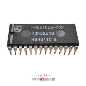 IC 61C65-70P
