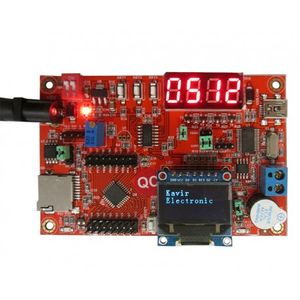 برد EWB-STM8S10x برد کامل با مثالهای متنوع (استفاده شده در فیلم آموزش stm8)