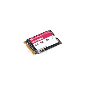 هارد SSD NVMe M.2 2230 با ظرفیت 256 گیگ رزبری پای
