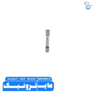 فیوز مایکروویو 40x6