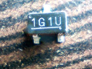 1g1u