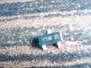 y1w-26