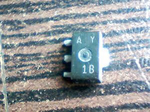 a-y-1b
