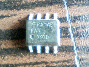 payal-fan-7930