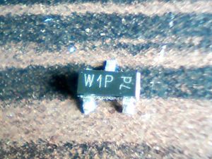 w1p-7d