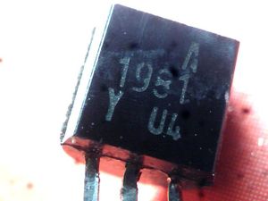 a-1981-y-u4